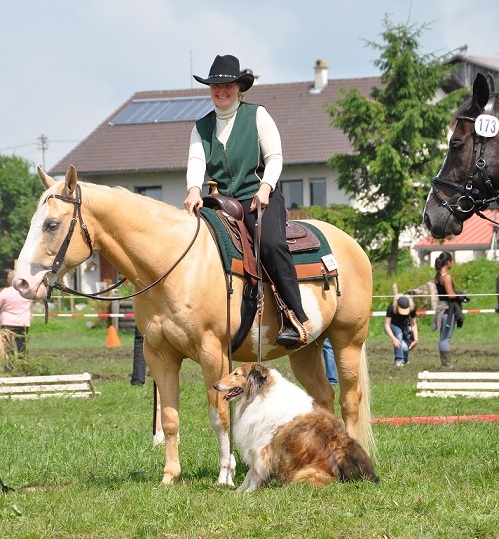 Amy beim Horse and Dog Trail Wettbewerb