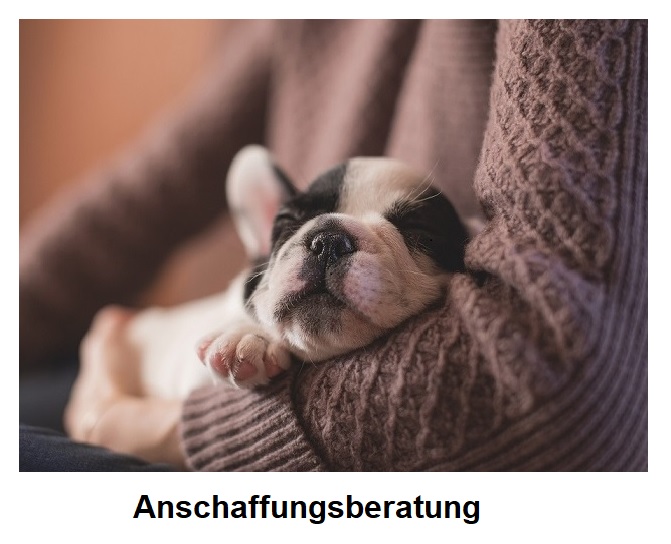 Anschaffungsberatung