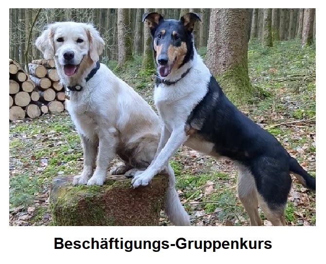 Beschäftigungskurs
