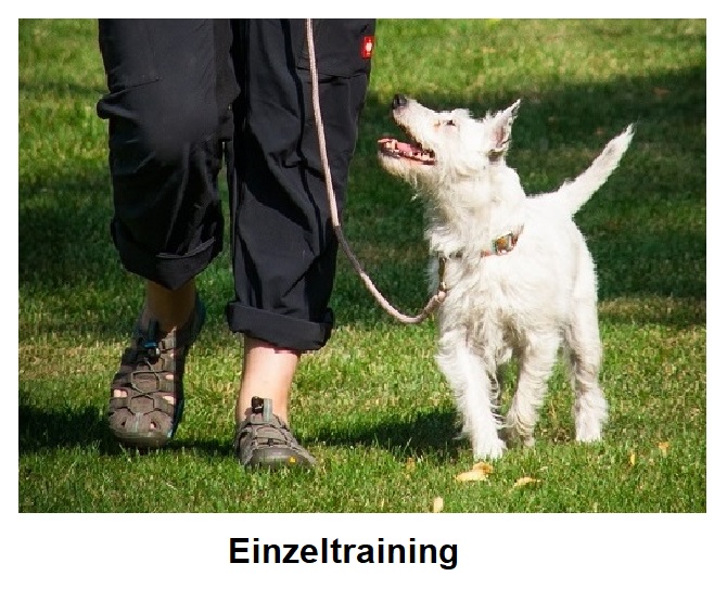 Einzeltraining
