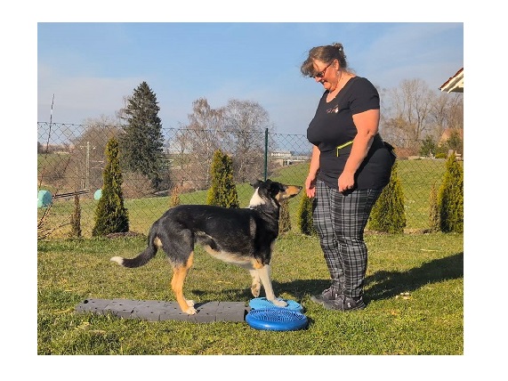 Fitness-Übung Pad zu Pad 2