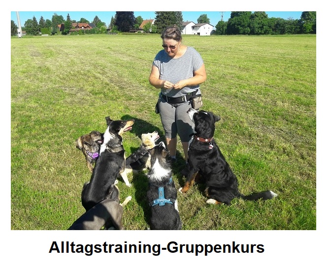 Alltagstraining in der Gruppe