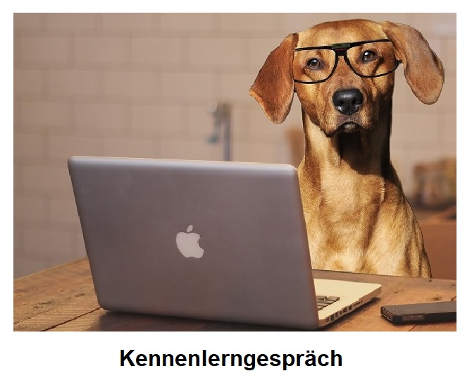 Kennenlerngespräch
