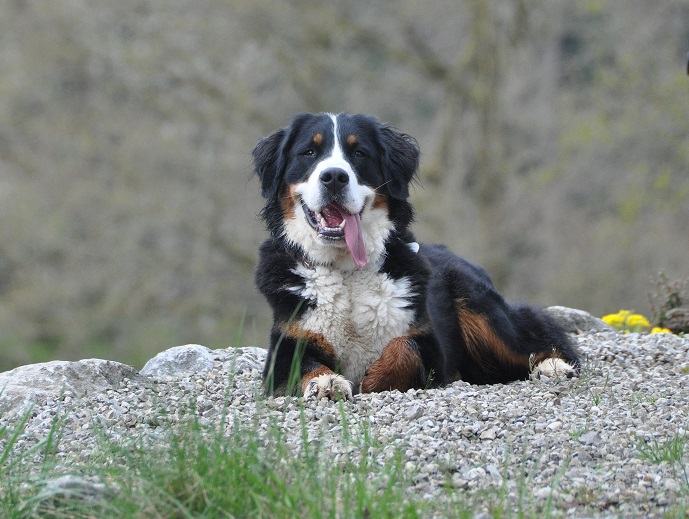 Ronja entspannt