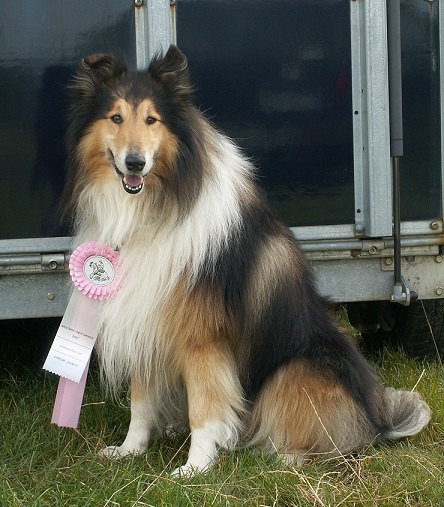 Wulf beim Trail Training